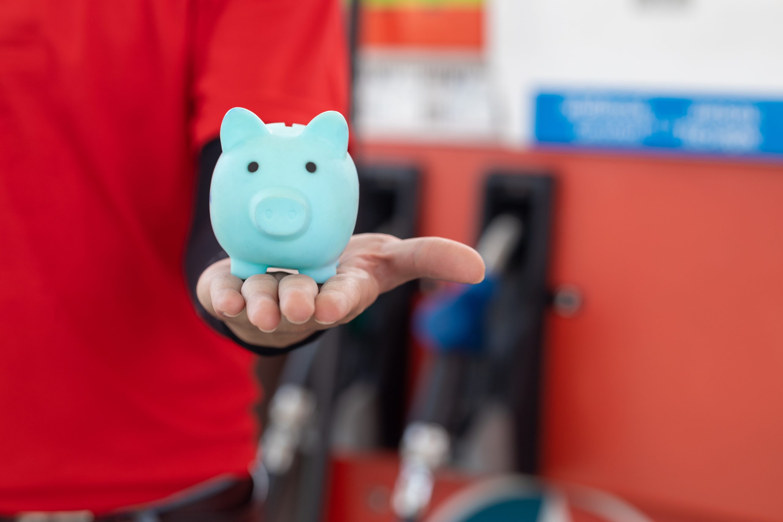 Person holding blue piggy bank